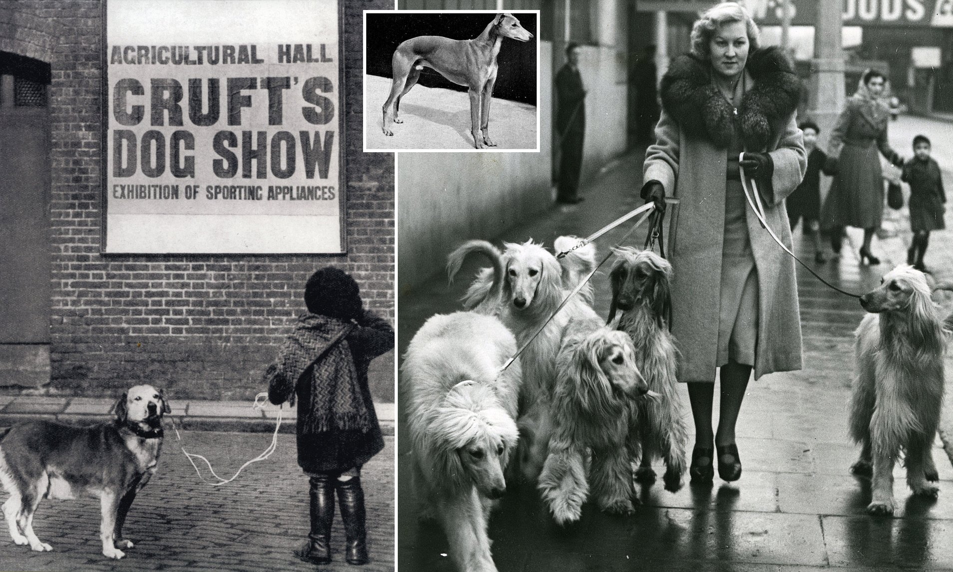 A Victorian dog show with elegantly dressed people admiring a collie, in a bustling exhibition hall with banners.