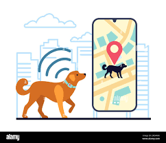 A dog wearing a GPS collar running in a field, with a digital map overlay showing its location in real-time.