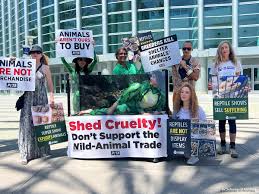 A peaceful protest against exotic pet trafficking, with signs and a caged parrot prop in a city square.