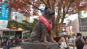 A bronze statue of a loyal dog in a bustling city square, with cherry blossoms and people taking photos.